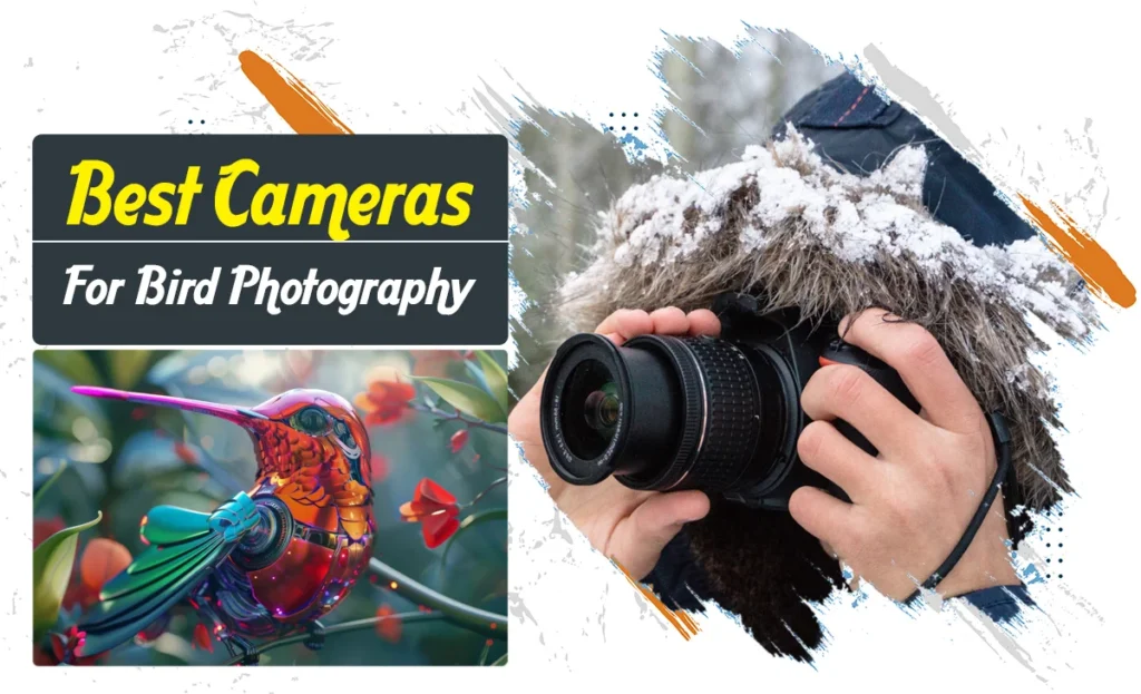 Best cameras for bird photography