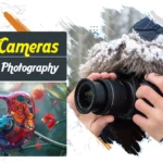 Best cameras for bird photography